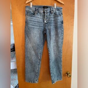 Banana Republic Slim Fit Mid Rise Button Fly Jeans, Size 10